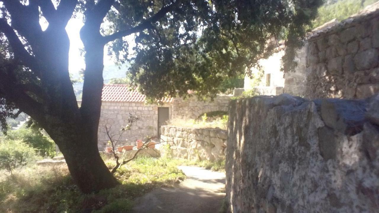 Cottage Melita Babino Polje Exteriör bild