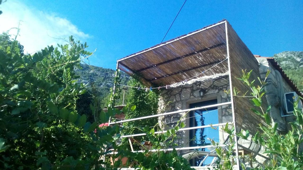 Cottage Melita Babino Polje Exteriör bild
